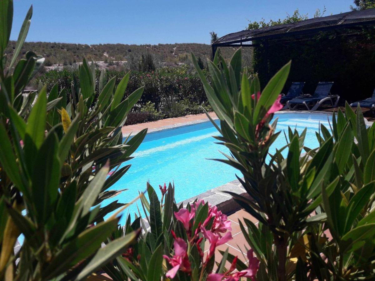Cuevas Andalucia Guest House Baza Luaran gambar